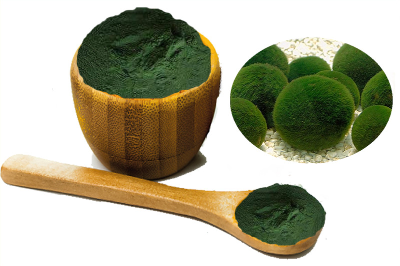 Bulk Chlorella Powder.jpg